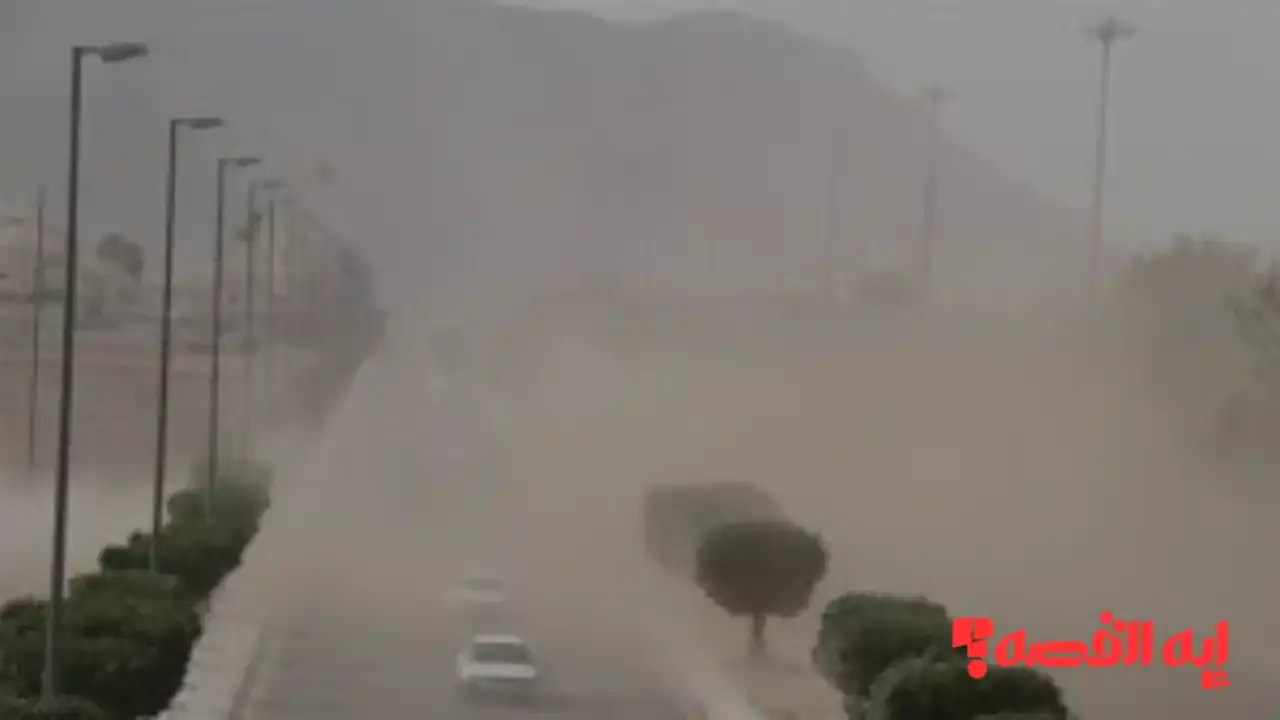 أمطار رعدية.. الأرصاد تحذر من تقلبات جوية تضرب 4 مدن سعودية الخميس 2025